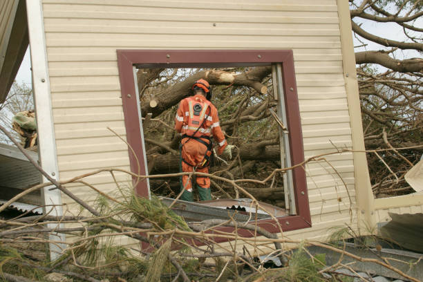 How Our Tree Care Process Works  in  Edwards Af, CA